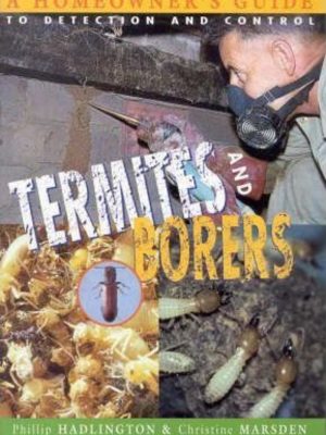 Termites and Borers: A Homeowner's Guide