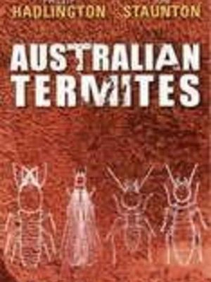 Australian Termites